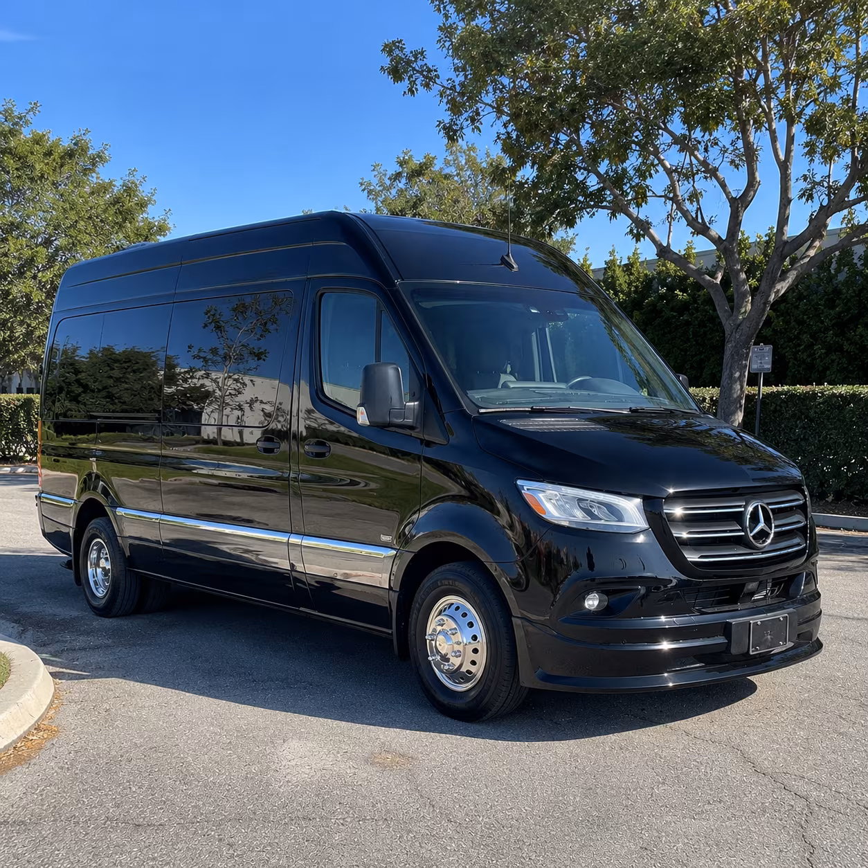 sprinter vans and minibuses for executive transportation in chattanooga